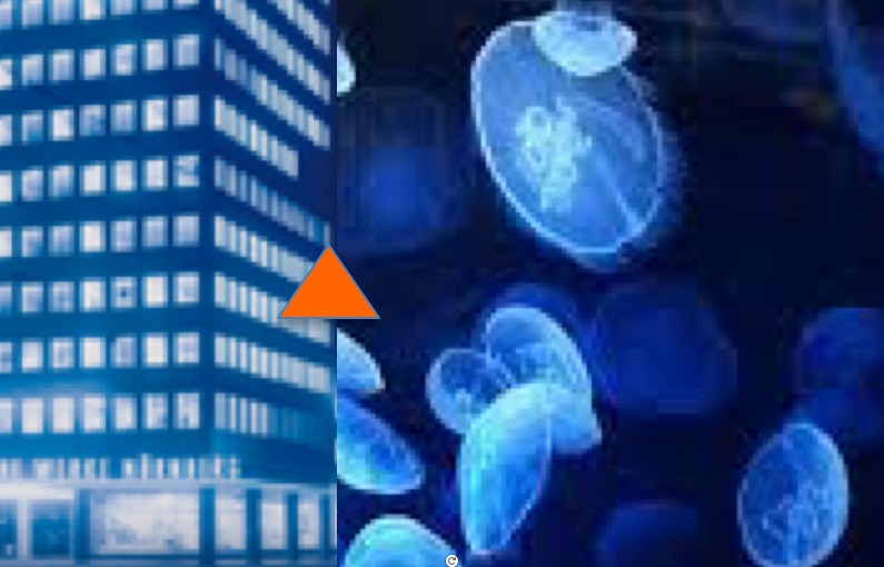 EFSLI Athens 2016: Interpreting for&nbsp;Refugees